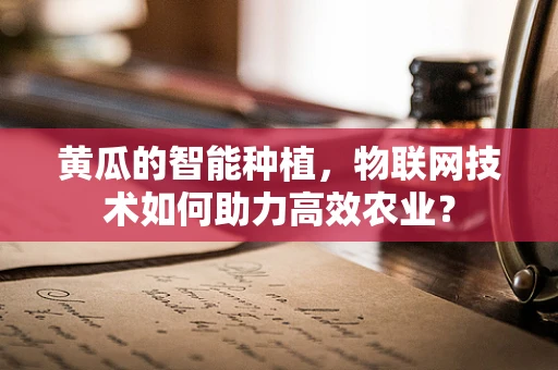 黄瓜的智能种植，物联网技术如何助力高效农业？