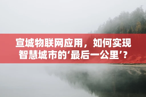 宣城物联网应用，如何实现智慧城市的‘最后一公里’？