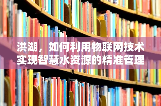 洪湖，如何利用物联网技术实现智慧水资源的精准管理？