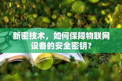 新密技术，如何保障物联网设备的安全密钥？