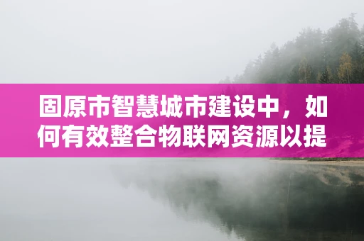 固原市智慧城市建设中，如何有效整合物联网资源以提升城市管理效率？