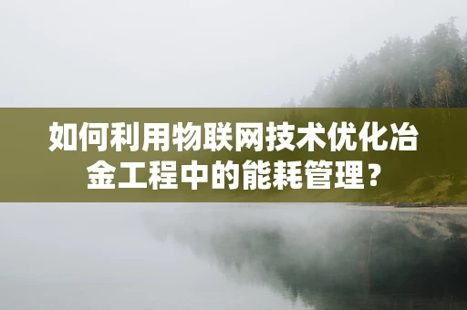 如何利用物联网技术优化冶金工程中的能耗管理？