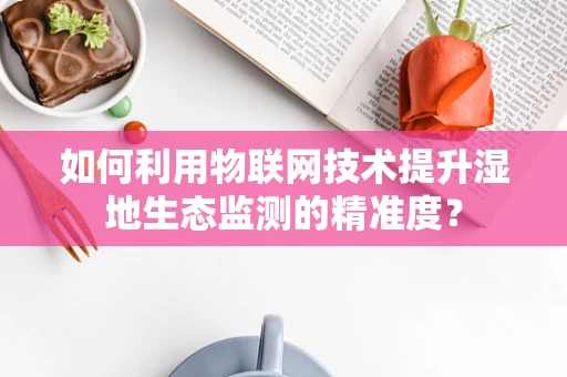 如何利用物联网技术提升湿地生态监测的精准度？