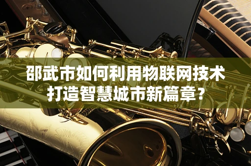 邵武市如何利用物联网技术打造智慧城市新篇章？