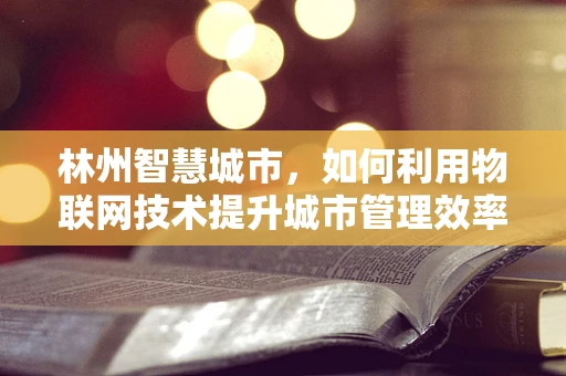 林州智慧城市，如何利用物联网技术提升城市管理效率？