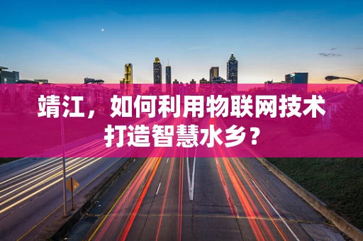 靖江，如何利用物联网技术打造智慧水乡？