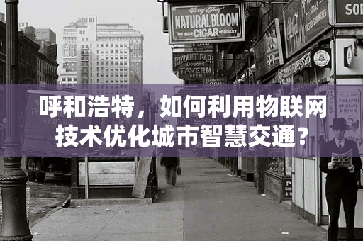 呼和浩特，如何利用物联网技术优化城市智慧交通？