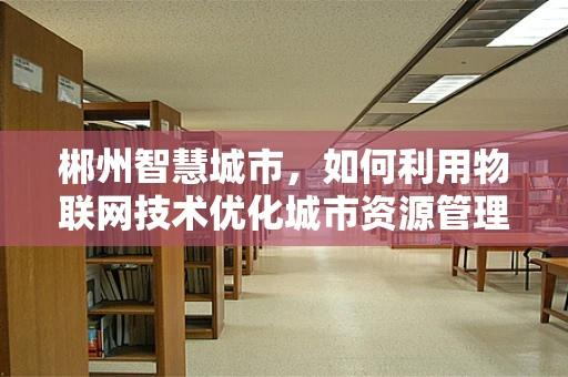 郴州智慧城市，如何利用物联网技术优化城市资源管理？