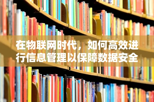 在物联网时代，如何高效进行信息管理以保障数据安全与隐私？