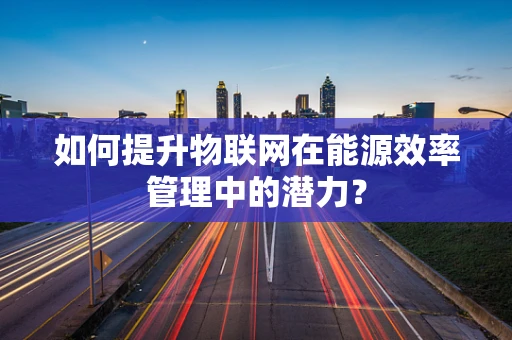 如何提升物联网在能源效率管理中的潜力？