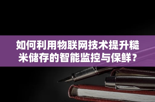 如何利用物联网技术提升糙米储存的智能监控与保鲜？