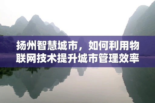 扬州智慧城市，如何利用物联网技术提升城市管理效率？