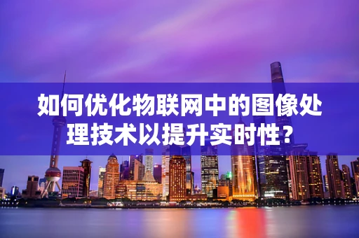 如何优化物联网中的图像处理技术以提升实时性？