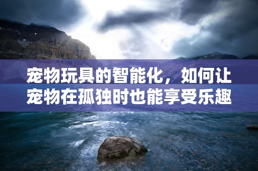 宠物玩具的智能化，如何让宠物在孤独时也能享受乐趣？