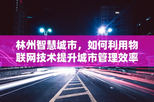 林州智慧城市，如何利用物联网技术提升城市管理效率？