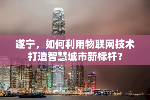 遂宁，如何利用物联网技术打造智慧城市新标杆？