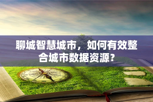 聊城智慧城市，如何有效整合城市数据资源？