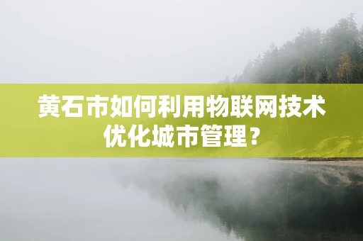 黄石市如何利用物联网技术优化城市管理？