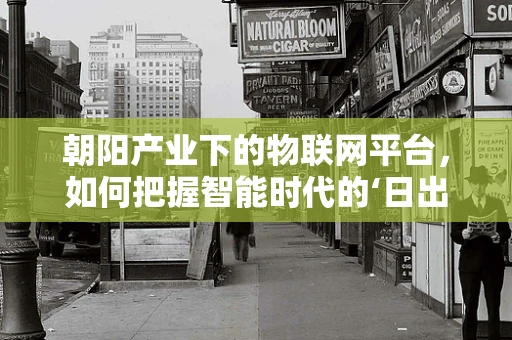 朝阳产业下的物联网平台，如何把握智能时代的‘日出’机遇？