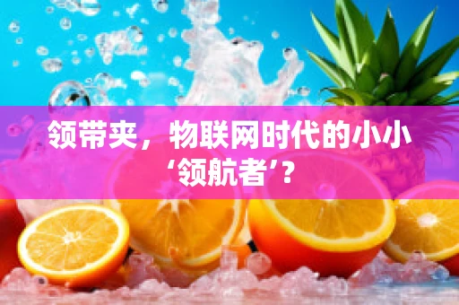 领带夹，物联网时代的小小‘领航者’？