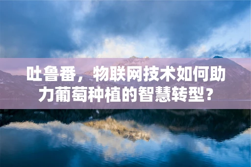 吐鲁番，物联网技术如何助力葡萄种植的智慧转型？