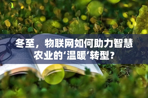 冬至，物联网如何助力智慧农业的‘温暖’转型？