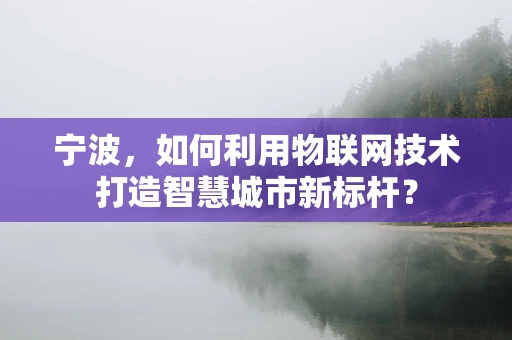 宁波，如何利用物联网技术打造智慧城市新标杆？