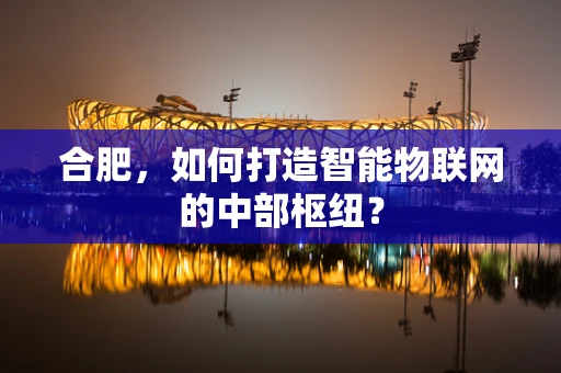 合肥，如何打造智能物联网的中部枢纽？