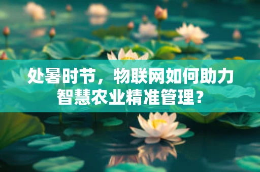 处暑时节，物联网如何助力智慧农业精准管理？