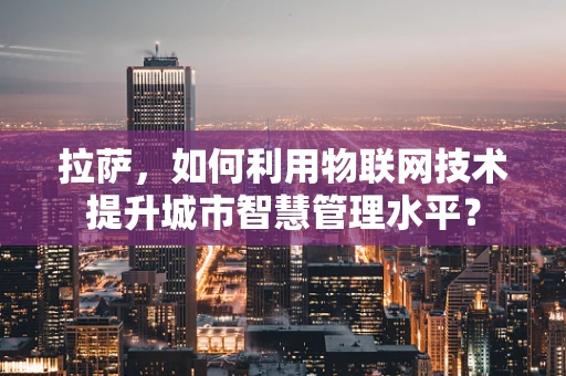 拉萨，如何利用物联网技术提升城市智慧管理水平？