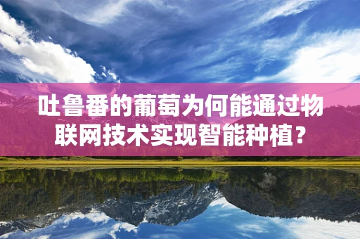 吐鲁番的葡萄为何能通过物联网技术实现智能种植？