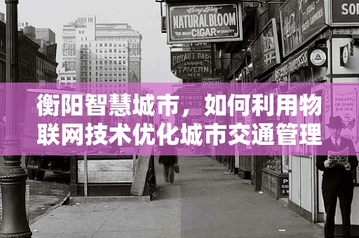 衡阳智慧城市，如何利用物联网技术优化城市交通管理？