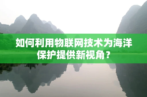 如何利用物联网技术为海洋保护提供新视角？