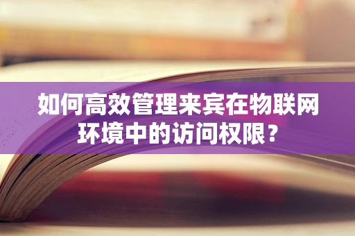 如何高效管理来宾在物联网环境中的访问权限？