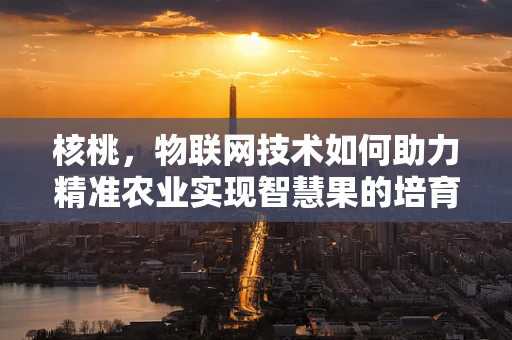 核桃，物联网技术如何助力精准农业实现智慧果的培育？