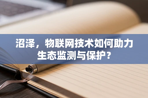 沼泽，物联网技术如何助力生态监测与保护？