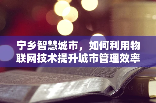 宁乡智慧城市，如何利用物联网技术提升城市管理效率？