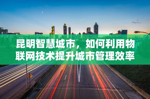 昆明智慧城市，如何利用物联网技术提升城市管理效率？