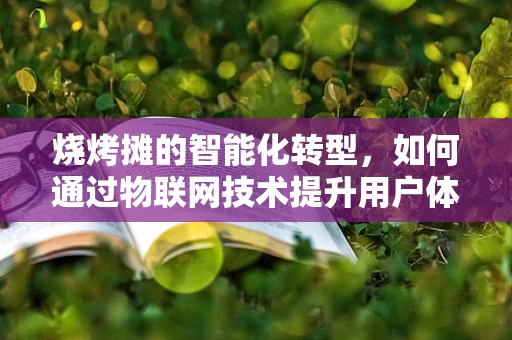 烧烤摊的智能化转型，如何通过物联网技术提升用户体验？