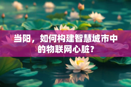 当阳，如何构建智慧城市中的物联网心脏？