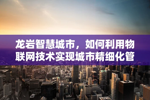 龙岩智慧城市，如何利用物联网技术实现城市精细化管理？