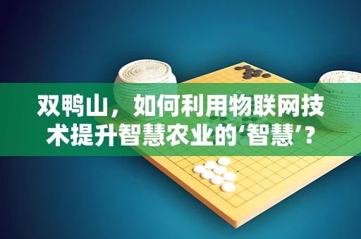 双鸭山，如何利用物联网技术提升智慧农业的‘智慧’？