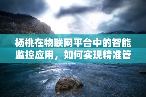 杨桃在物联网平台中的智能监控应用，如何实现精准管理？