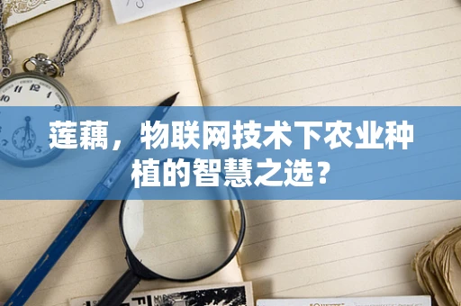 莲藕，物联网技术下农业种植的智慧之选？