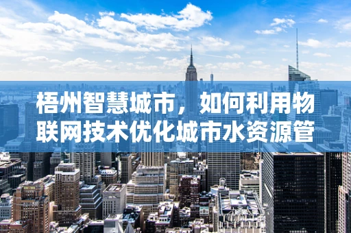 梧州智慧城市，如何利用物联网技术优化城市水资源管理？