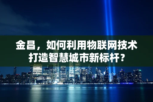 金昌，如何利用物联网技术打造智慧城市新标杆？