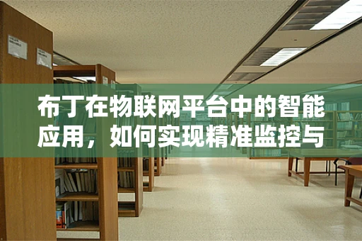 布丁在物联网平台中的智能应用，如何实现精准监控与个性化服务？