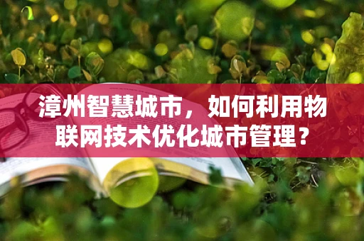 漳州智慧城市，如何利用物联网技术优化城市管理？