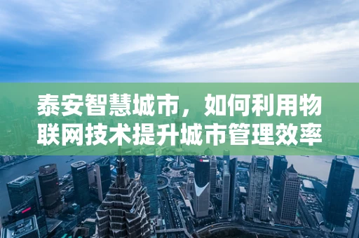 泰安智慧城市，如何利用物联网技术提升城市管理效率？