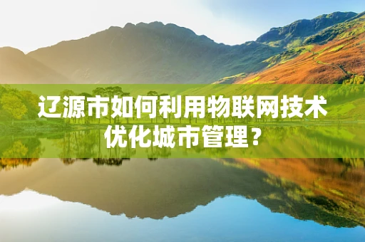 辽源市如何利用物联网技术优化城市管理？